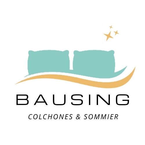 Logo Bausing